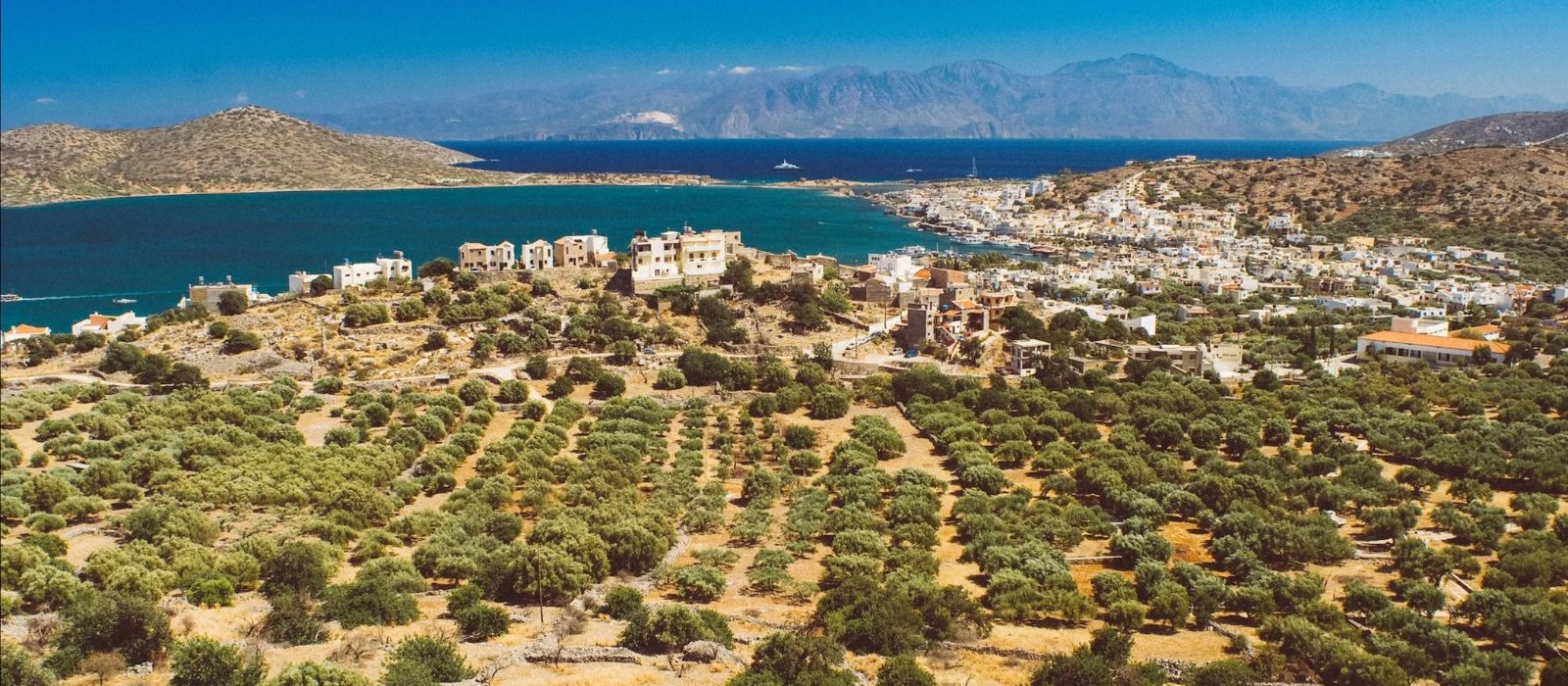 WhatsApp Image 2023-09-20 at 4.52.33 PM